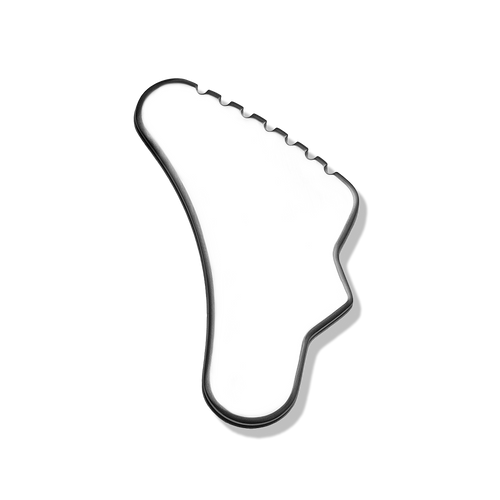 Body Gua Sha